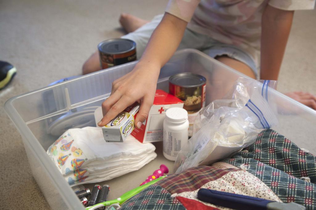 Emergency kit bin including basic survival items